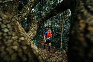 BIB: 
                            <button type="button" onclick="openModal(25708883)" class="btn btn-primary btn-sm float-right btn-popup" data-toggle="modal" data-target=".modal-high-quality">
                        <i class="fas fa-shopping-cart"></i> Add to Cart
                    </button>
                                            <button type="button" onclick="isThisMe(25708883, true)" class="btn btn-success btn-sm float-right btn-popup btn-isme hidden" data-toggle="tooltip" data-placement="bottom" title="นี่คือรูปของคุณใช่ไหม คลิกที่นี่เพื่อเอาเข้าอัลบั้ม">
                        <i class="fas fa-plus"></i> Add to album
                    </button>
                    <button type="button" onclick="isThisMe(25708883, false)" class="btn btn-warning btn-sm float-right btn-popup btn-isnotme hidden">
                        <i class="fas fa-ban"></i> Remove from album
                    </button>